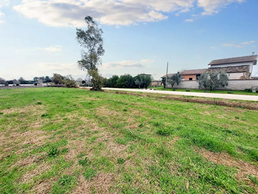 Immagine 13 di Terreno in vendita  in Strada Regionale 148 Pontina, N. snc a Latina