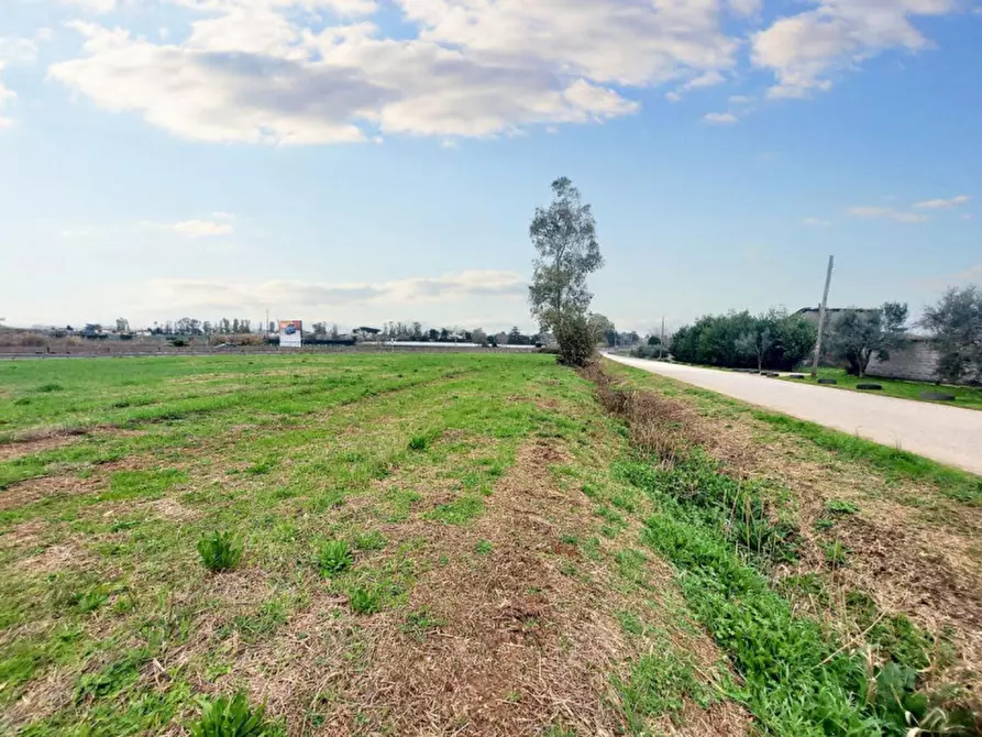 Immagine 14 di Terreno in vendita  in Strada Regionale 148 Pontina, N. snc a Latina