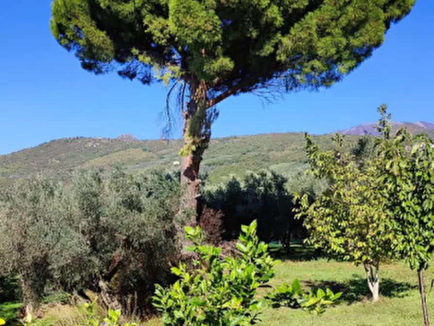 Immagine 19 di Casa indipendente in vendita  in Via SS 91 Varano a Campagna