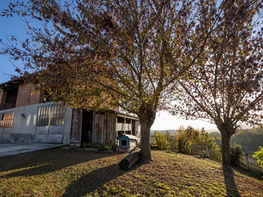 Immagine 4 di Casa bifamiliare in vendita  in FRAZIONE SAN GIULIO 40 a San Damiano D'asti