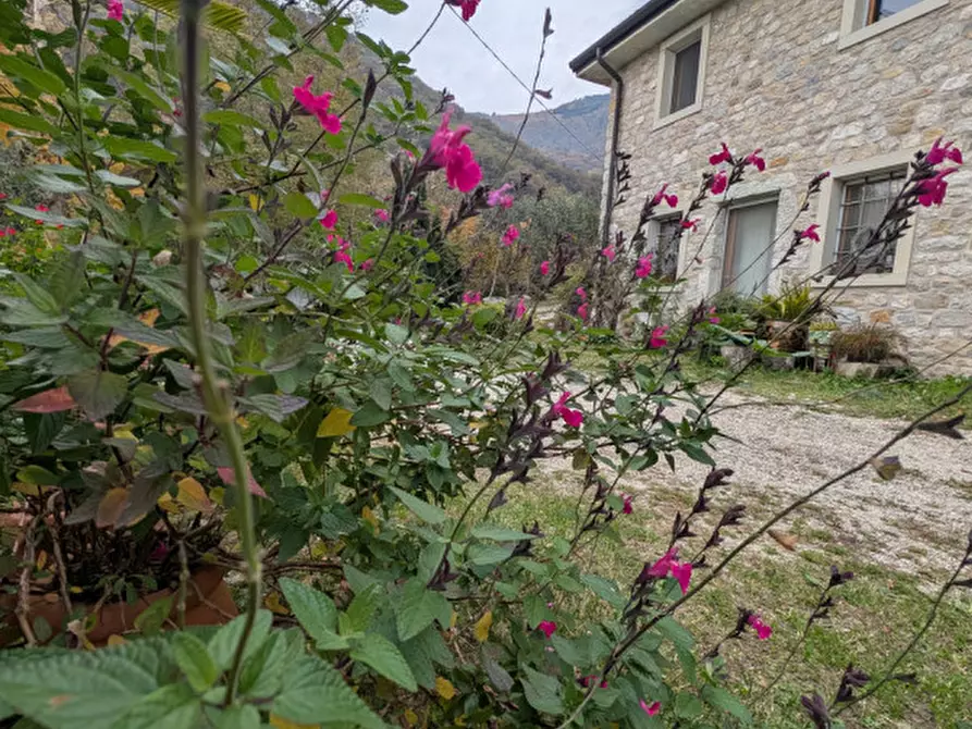 Immagine 35 di Villa in vendita  a Fregona