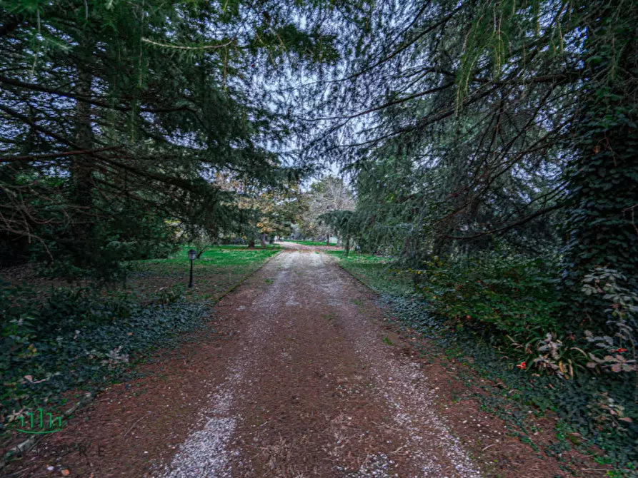 Immagine 4 di Rustico / casale in vendita  in VIA MEDESANO 2 a Castel Guelfo Di Bologna