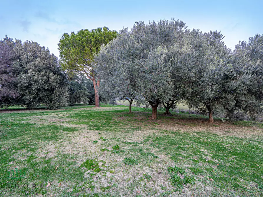 Immagine 36 di Rustico / casale in vendita  in VIA MEDESANO 2 a Castel Guelfo Di Bologna