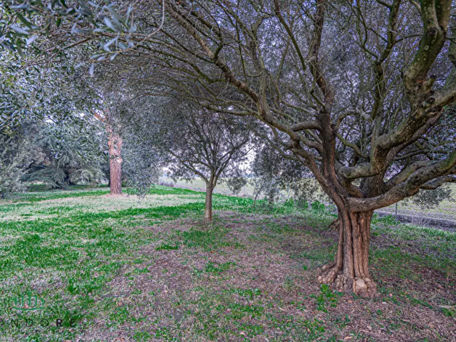 Immagine 37 di Rustico / casale in vendita  in VIA MEDESANO 2 a Castel Guelfo Di Bologna