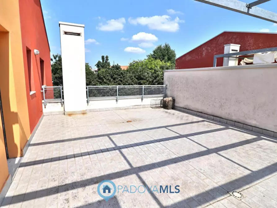 Immagine 15 di Attico in vendita  a Noventa Padovana