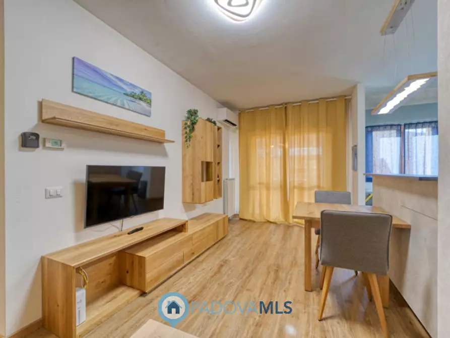 Immagine 18 di Attico in vendita  a Noventa Padovana