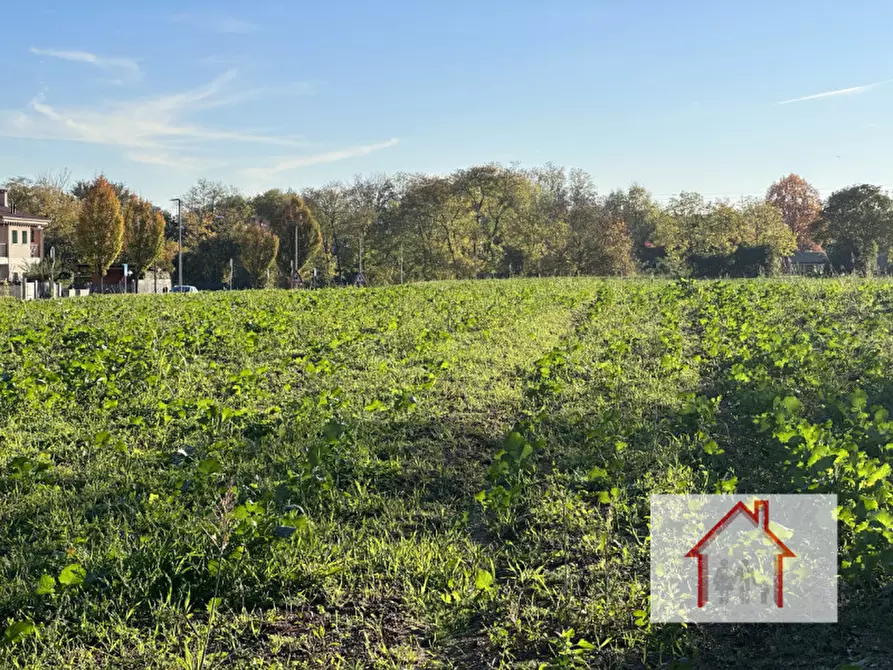 Immagine 2 di Terreno in vendita  a Nervesa Della Battaglia
