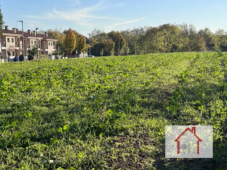 Immagine 4 di Terreno in vendita  a Nervesa Della Battaglia