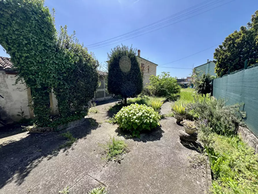 Immagine 13 di Casa bifamiliare in vendita  in viale caduti 154 a Angiari