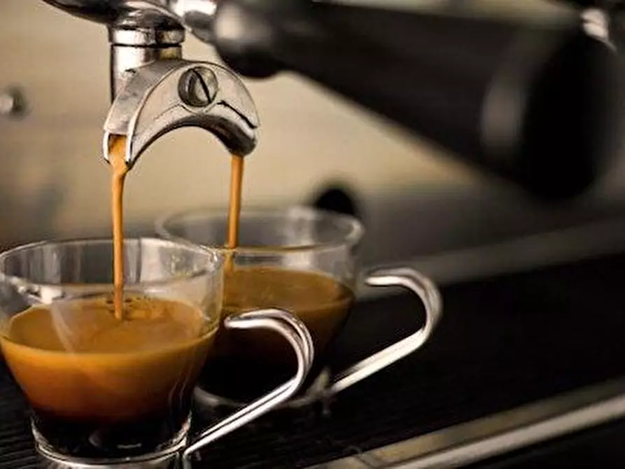 Immagine 1 di Attività commerciale in vendita  a Sora