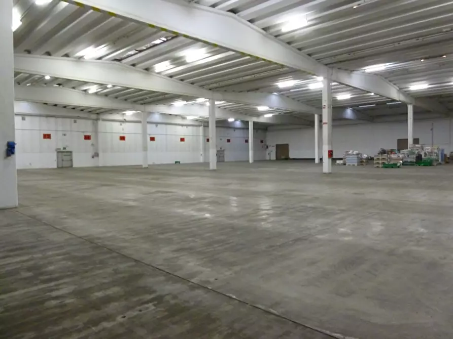 Immagine 4 di Capannone industriale in affitto  in San Biagio di Callalta TV a San Biagio Di Callalta