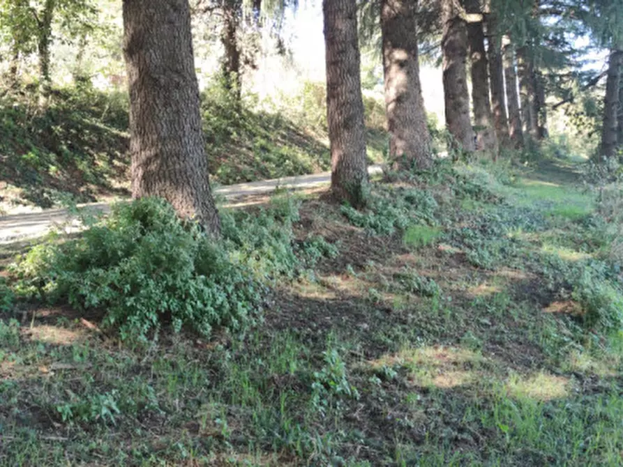 Immagine 3 di Casa indipendente in vendita  in Via S.Nicolo a Montorso Vicentino