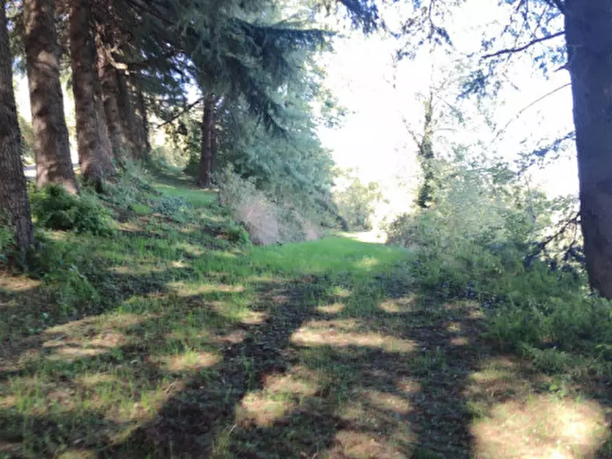 Immagine 4 di Casa indipendente in vendita  in Via S.Nicolo a Montorso Vicentino