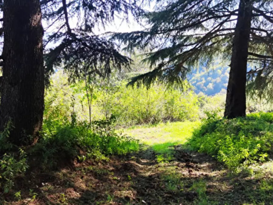 Immagine 5 di Casa indipendente in vendita  in Via S.Nicolo a Montorso Vicentino