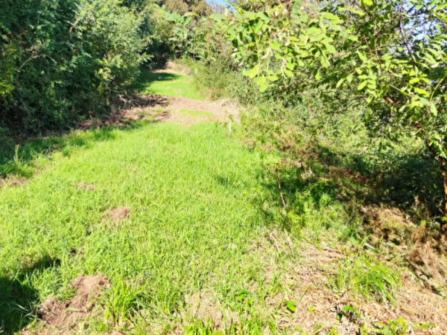 Immagine 6 di Casa indipendente in vendita  in Via S.Nicolo a Montorso Vicentino