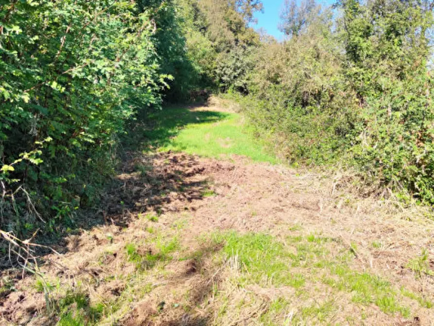 Immagine 9 di Casa indipendente in vendita  in Via S.Nicolo a Montorso Vicentino