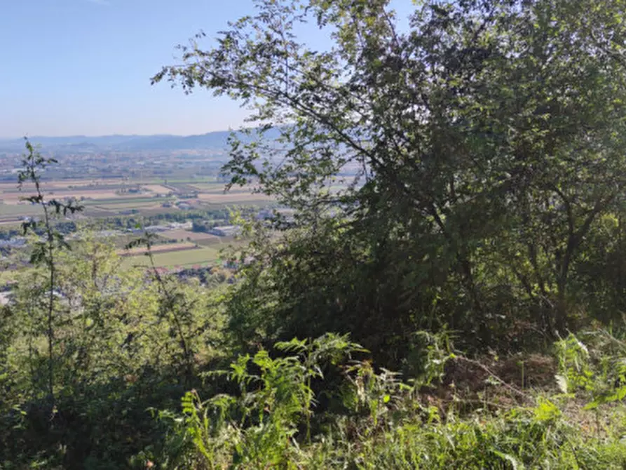 Immagine 10 di Casa indipendente in vendita  in Via S.Nicolo a Montorso Vicentino