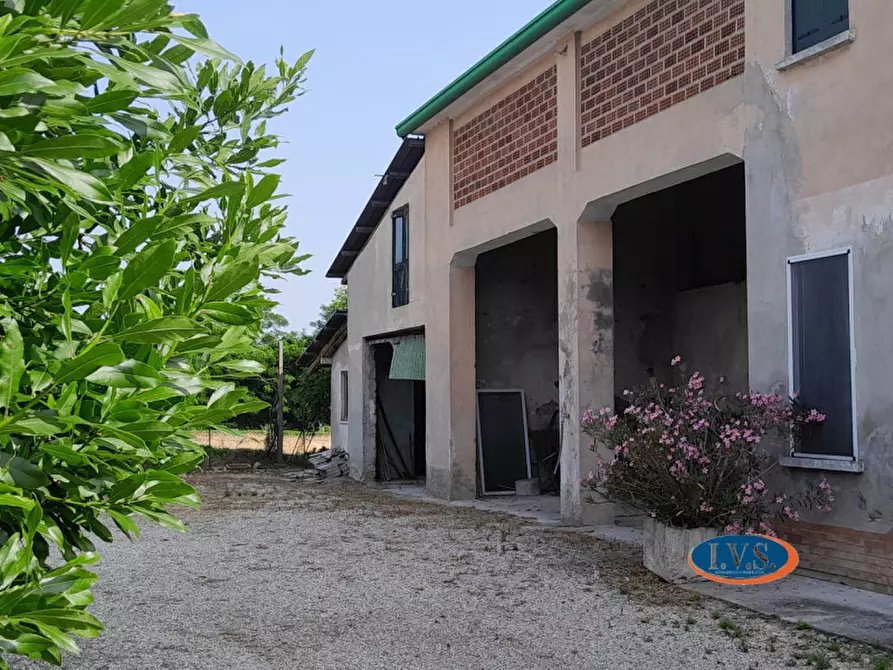 Immagine 2 di Casa indipendente in vendita  in Via D. Cattaneo 1 a Montegalda