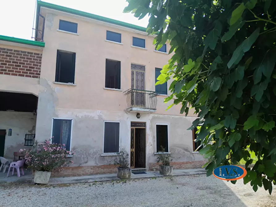 Immagine 7 di Casa indipendente in vendita  in Via D. Cattaneo 1 a Montegalda