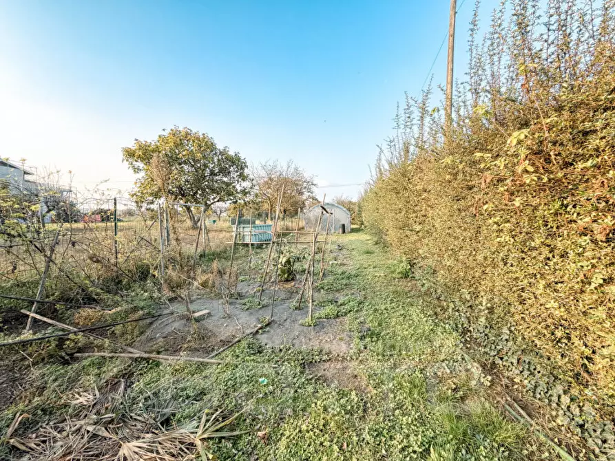 Immagine 120 di Casa indipendente in vendita  in Via Strera n 173 a Oleggio