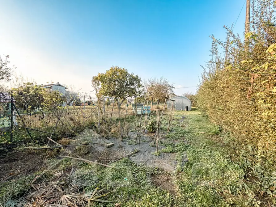 Immagine 121 di Casa indipendente in vendita  in Via Strera n 173 a Oleggio