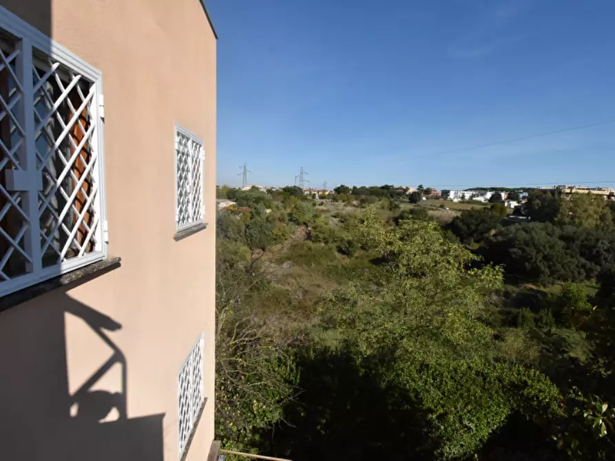 Immagine 41 di Appartamento in vendita  in Via Borgo Ticino a Roma