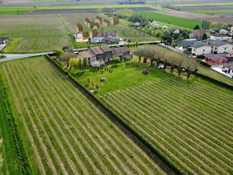 Immagine 3 di Rustico / casale in vendita  a Cologna Veneta