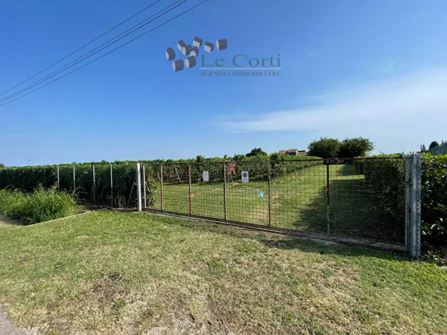 Immagine 6 di Rustico / casale in vendita  a Cologna Veneta