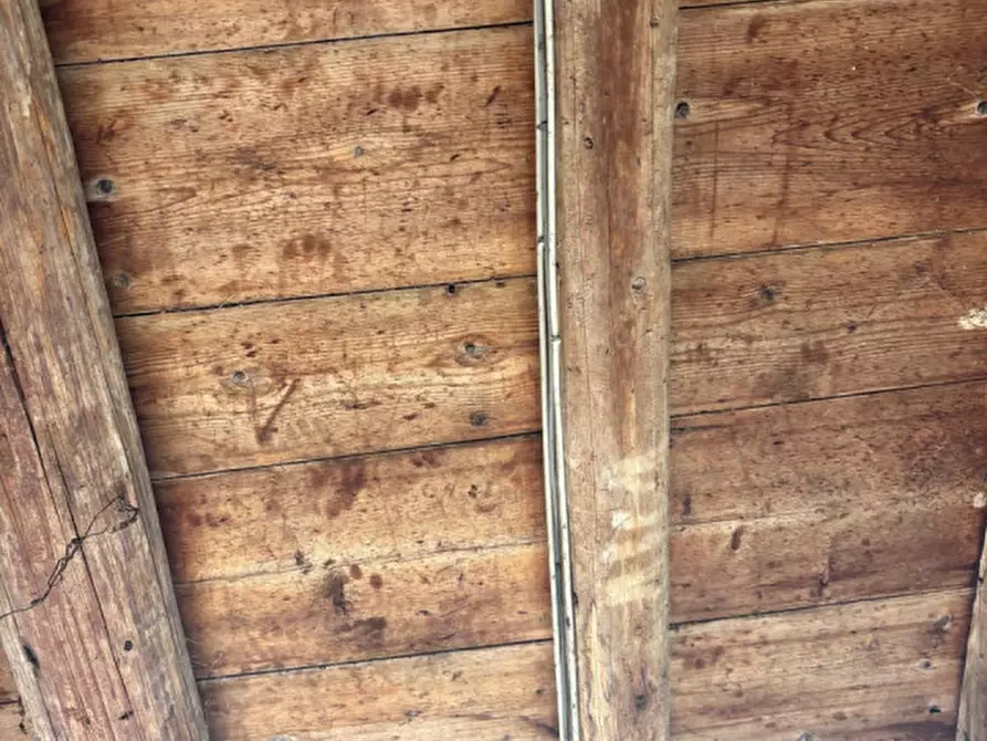 Immagine 7 di Rustico / casale in vendita  a Cologna Veneta