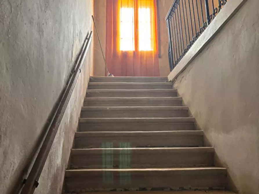 Immagine 11 di Rustico / casale in vendita  a Cologna Veneta