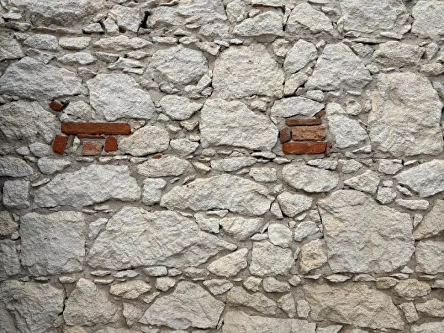 Immagine 13 di Rustico / casale in vendita  a Cologna Veneta