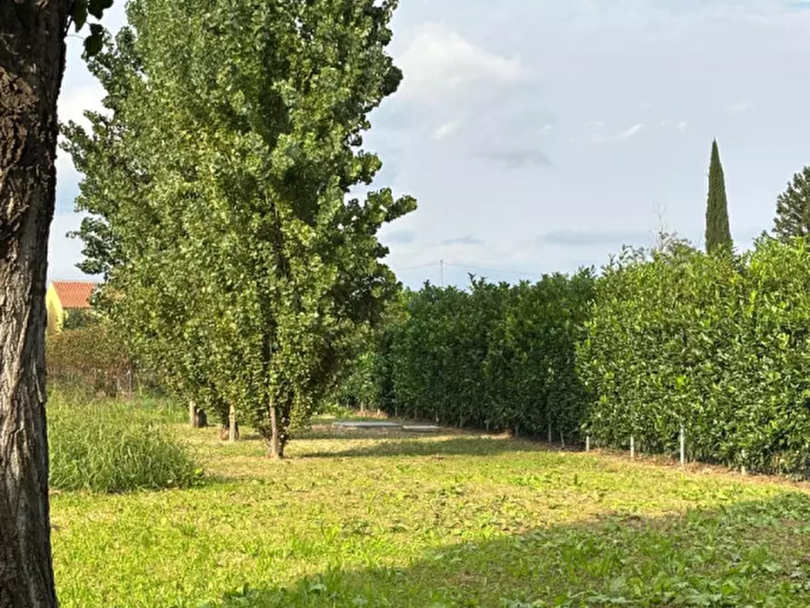 Immagine 17 di Rustico / casale in vendita  a Cologna Veneta