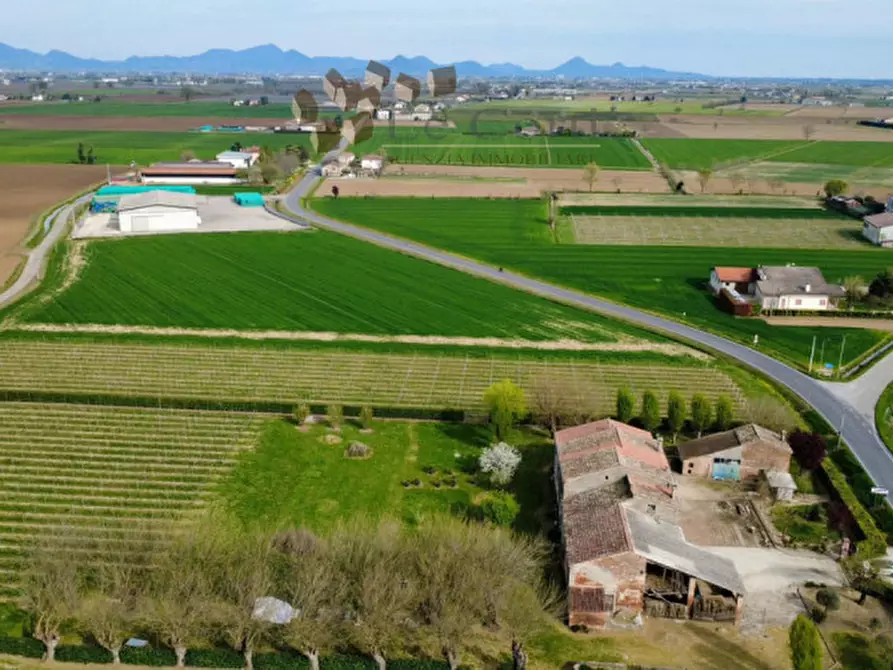 Immagine 23 di Rustico / casale in vendita  a Cologna Veneta