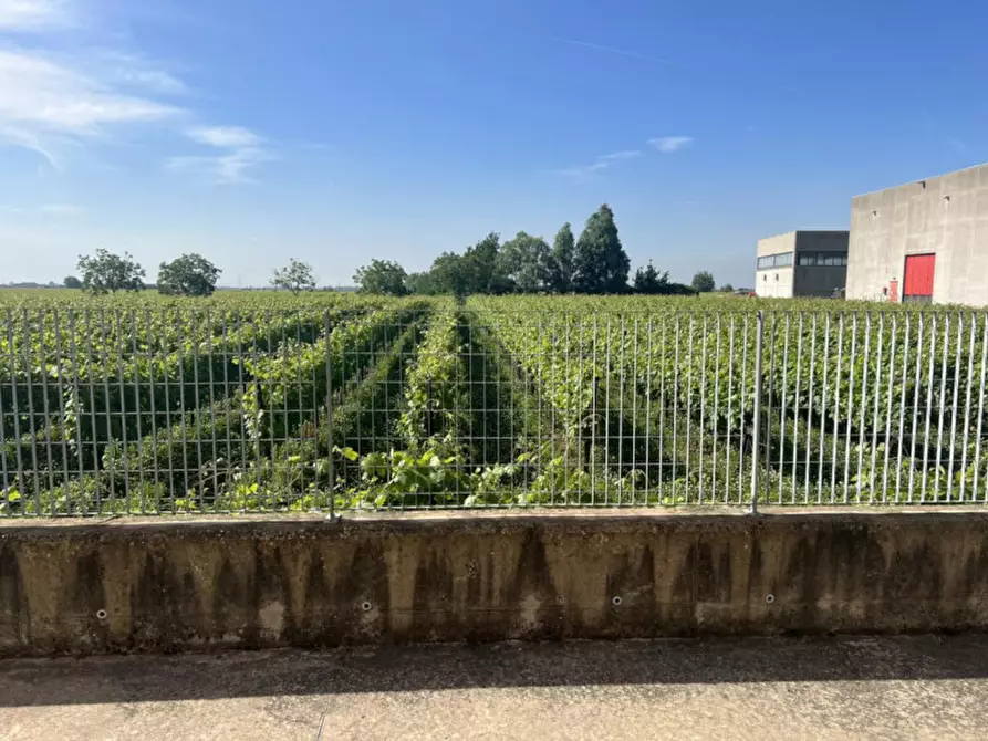 Immagine 15 di Capannone industriale in vendita  in Via dell'Artigianato, 34, 37032 Monteforte d'Alpone VR, Italia a Monteforte D'alpone