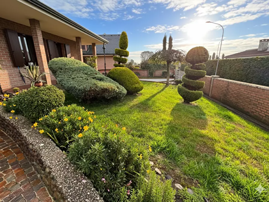 Immagine 25 di Villa in vendita  in Via Sant'Alberto 19 a Badia Polesine