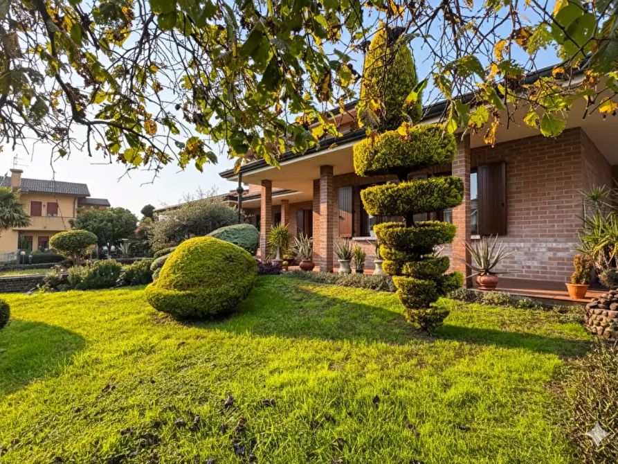 Immagine 49 di Villa in vendita  in Via Sant'Alberto 19 a Badia Polesine