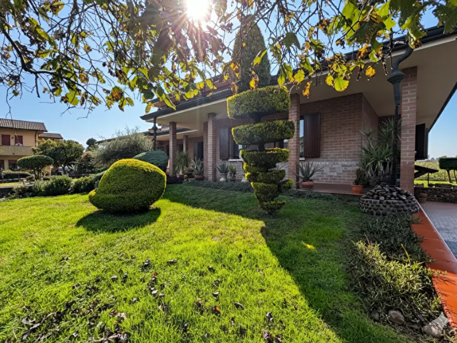 Immagine 70 di Villa in vendita  in Via Sant'Alberto 19 a Badia Polesine