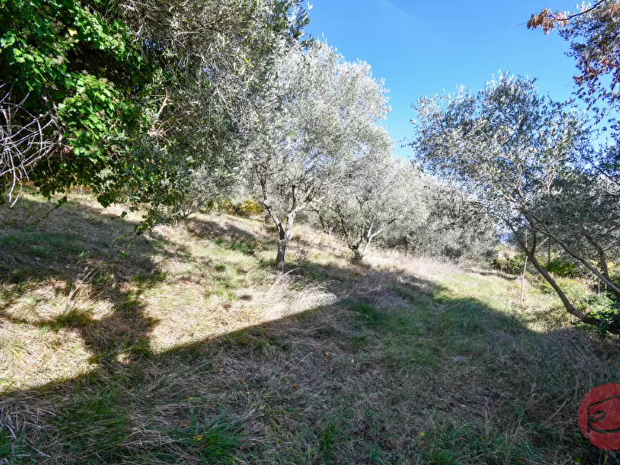 Immagine 34 di Multiproprietà in vendita  in Via Bagnolo a Castrocaro Terme E Terra Del Sole