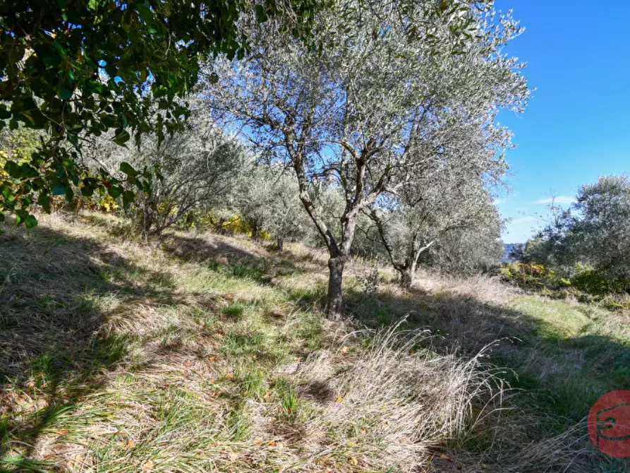 Immagine 35 di Multiproprietà in vendita  in Via Bagnolo a Castrocaro Terme E Terra Del Sole