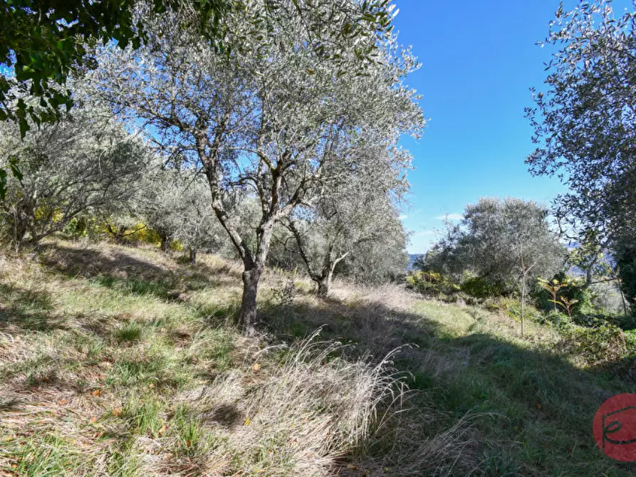 Immagine 36 di Multiproprietà in vendita  in Via Bagnolo a Castrocaro Terme E Terra Del Sole