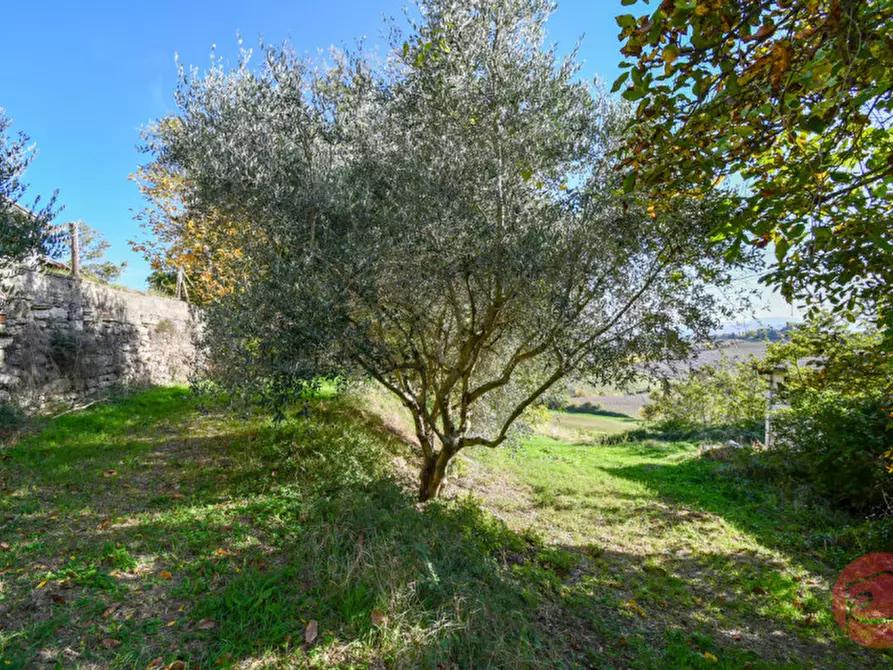 Immagine 37 di Multiproprietà in vendita  in Via Bagnolo a Castrocaro Terme E Terra Del Sole
