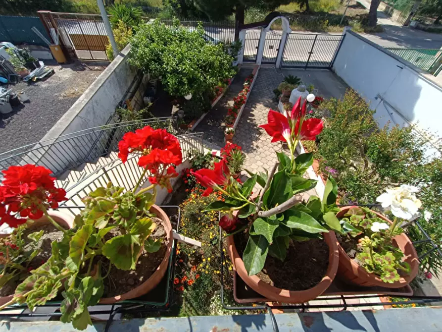 Immagine 24 di Casa indipendente in vendita  in VIA CANOSA, 369 a Andria