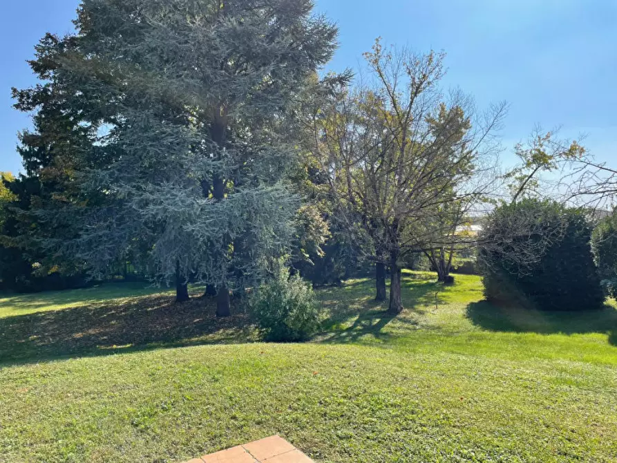 Immagine 19 di Villa in vendita  in via monte alto a Solferino