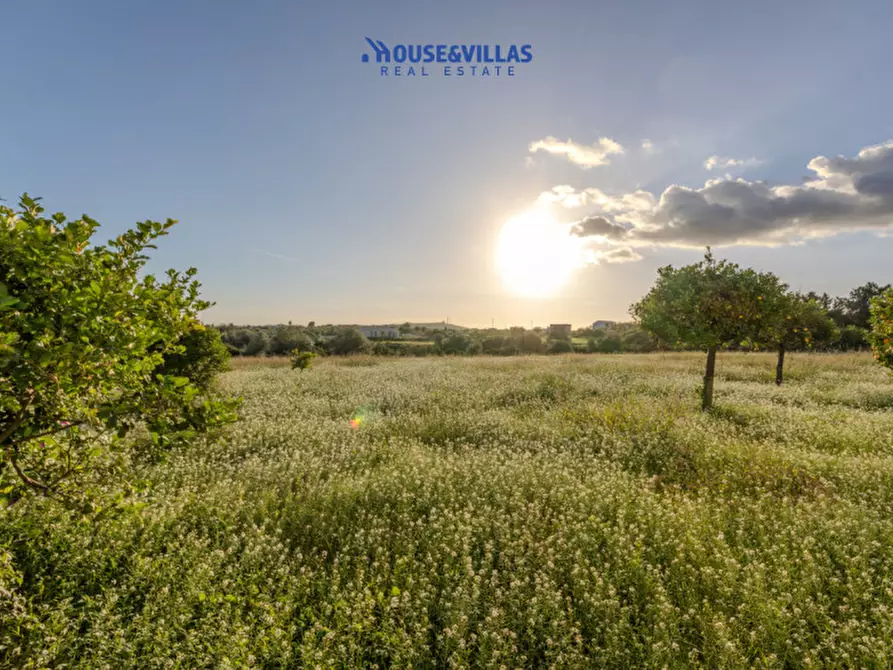 Immagine 11 di Villa in vendita  in Via Palma a Avola