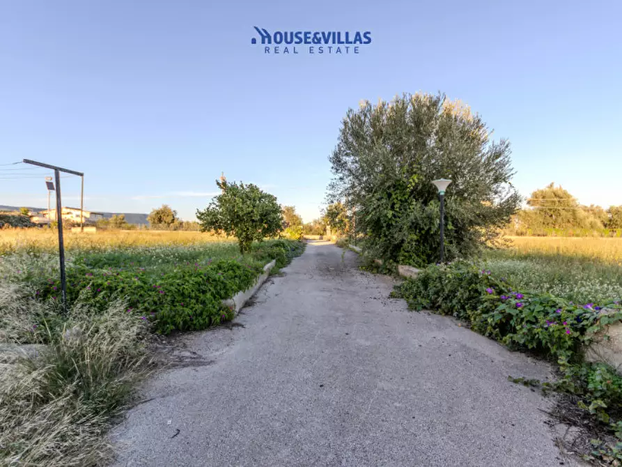 Immagine 13 di Villa in vendita  in Via Palma a Avola