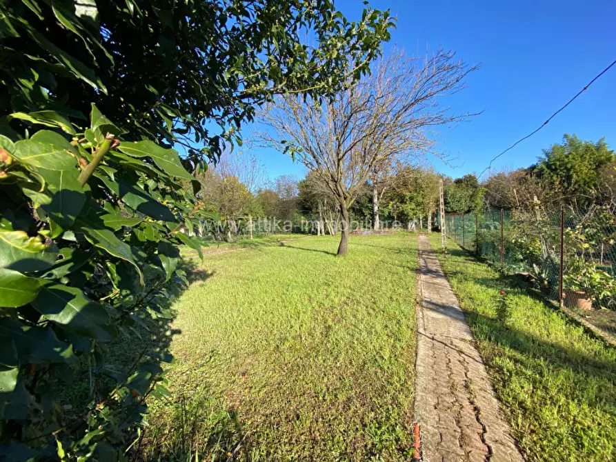 Immagine 5 di Casa bifamiliare in vendita  in Via Atheste 13 a Este