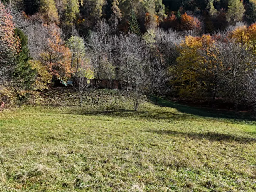 Immagine 3 di Terreno in vendita  in Via dal Munt a Bocenago