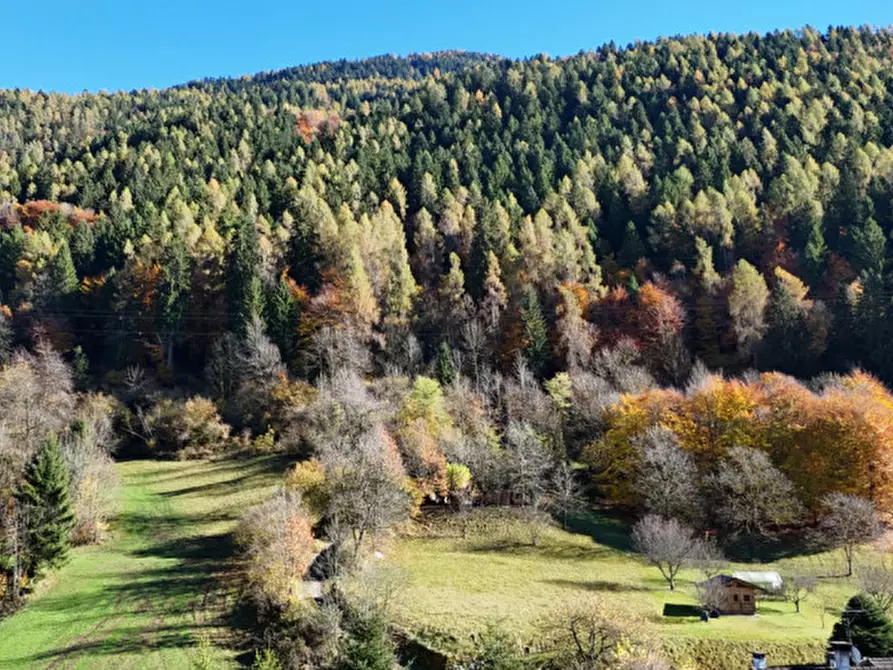 Immagine 5 di Terreno in vendita  in Via dal Munt a Bocenago