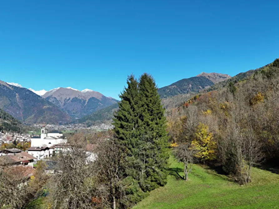 Immagine 7 di Terreno in vendita  in Via dal Munt a Bocenago