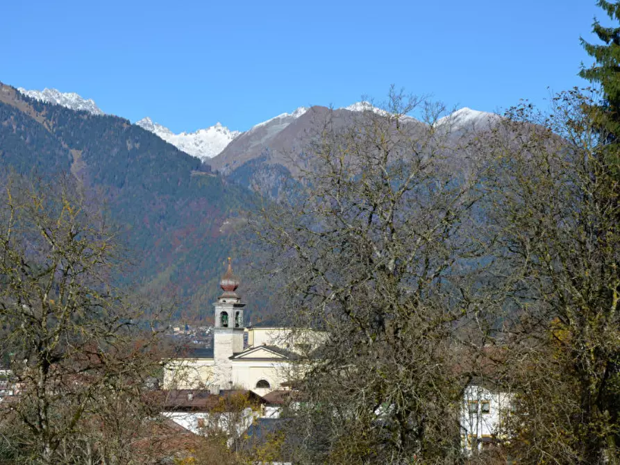 Immagine 17 di Terreno in vendita  in Via dal Munt a Bocenago